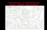 Introdução ao Metabolismo Prof. Helber Barcellos