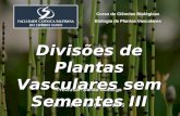 Curso de Ciências Biológicas Biologia de Plantas Vasculares Professor: Danilo Camargo 22 e 28 de Março de 2013 Divisões de Plantas Vasculares sem Sementes.