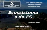Curso de Ciências Biológicas Licenciatura 5º Período Ecossistemas do ES Professor: Danilo 04 de Março de 2013 Ecossistemas do ES.