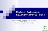 1 Modelo Entidade- Relacionamento (ER) Universidade Federal da Grande Dourados Prof. Me. Everton C. Tetila.