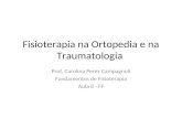 Fisioterapia na Ortopedia e na Traumatologia Prof. Carolina Perez Campagnoli Fundamentos de Fisioterapia Aula 8 - FF.