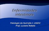 Enfermidades intestinais Patologia da Nutrição I- UNESC Prof. Luciene Rabelo.