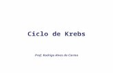 Ciclo de Krebs Prof. Rodrigo Alves do Carmo. Caso Clínico Cerca de 10% dos indivíduos alcoolistas desenvolvem algum problema grave de memória. Um desses.