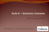 Discussão sobre sistemas lineares. Profª Cristiane Cozin – cristianecozin@unibrasil.com.br.