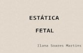 ESTÁTICA FETAL Ilana Soares Martins. ESTÁTICA FETAL Relação do feto com a bacia e com o útero –conhecimento da nomenclatura obstétrica –cada orientação.