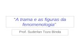 “A trama e as figuras da fenomenologia” Prof. Suderlan Tozo Binda.