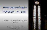 Hematopatologia FCMSCSP- 4 o ano Roberto Antônio Pinto Paes Departamento de Patologia Santa Casa de São Paulo.