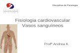 Profª Andrea K Disciplina de Fisiologia Fisiologia cardiovascular Vasos sanguíneos.