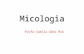 Micologia Profa Camila Góes Puk. Micologia Aspectos gerais.