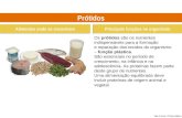 Viva a Terra! © Porto Editora Prótidos Alimentos onde se encontram Principais funções no organismo Os prótidos são os nutrientes indispensáveis para a.