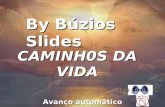 CAMINH0S DA VIDA By Búzios Slides Avanço automático