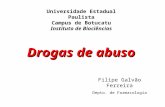 Universidade Estadual Paulista Campus de Botucatu Instituto de Biociências Filipe Galvão Ferreira Depto. de Farmacologia Drogas de abuso.