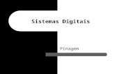 Sistemas Digitais Pinagem Monitoria Sistemas Digitais – 2006.1 - {aqc, fbla, gamsd, mls2, tfc} @ cin.ufpe.br Pinagem Pinagem: – Relação entre os pinos.