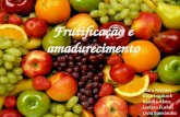 Frutificação e amadurecimento Clara Novaes Eliza Louback Kamila Alves Larissa Furlan Livia Sperandio.
