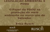 LEGISLAÇÃO AMBIENTAL E PDDU O Papel do PDDU na proteção do meio ambiente no município de Salvador. Érica Rusch.