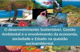 O desenvolvimento Sustentável, Gestão Ambiental e o envolvimento da economia, sociedade e Estado na questão socioambiental.