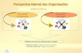 Perspectiva Natural das Organizações Sobrevivência Necessidades dos Grupos Conflito Influência da estrutura informal sobre a formal Necessidades da Organização.