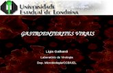 GASTROENTERITES VIRAIS Lígia Galhardi Laboratório de Virologia Dep. Microbiologia/CCB/UEL.
