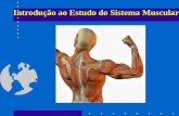 Introdução ao Estudo do Sistema Muscular. miologiaO sistema muscular é formado por todos os músculos do corpo e o seu campo de estudo é a miologia. elementos.