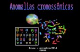 Bruna – novembro/2014 PIBID. De acordo com o número de cromossomos, as células podem ser diplóides ou haplóides –Diplóides – cromossomos ocorrem aos pares.