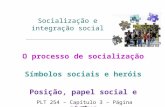 Socialização e integração social O processo de socialização Símbolos sociais e heróis Posição, papel social e status PLT 254 – Capitulo 3 – Página 73.
