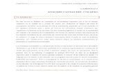 Analisis Causas del Colapso 09.pdf