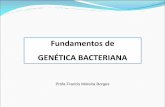 Genética Bacteriana Aula 3 Micro I BOMMM