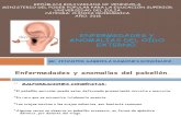 Enfermedades y Anomalías Del Oído Externo