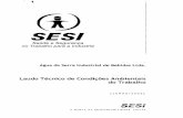 Água da Serra Industrial de Bebidas Ltda - Laudo 2006.pdf