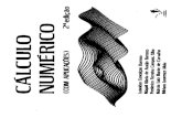 [LIVRO]- Calculo Numérico Com Aplicações- 2ª Edição- Leonidas Barroso
