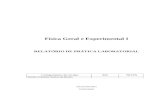 Física Geral e Experimental I - AVC 1 - Relatório