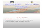CAPITULO VII. La Roca Sello.pdf