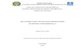 Relatório Final - Ensino Fundamental II - Emilio Flores Filho -Ano Letivo 2015