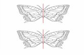 Simetria borboleta