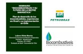Plan de Desarrollo de Los Biocombustibles Experiencias Em Brasil y Su Implementacion en Chile Luthero Winter (1)