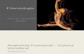 Aula 13 - Cinesiologia Anatomia Funcional - Coluna Vertebral