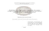 Padrões espaciais e de atividade da cuíca d ’ água Chironectes minimus em rios de Mata Atlântica no sudeste do Brasil_2009_Leite.pdf