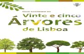 Guia Ilustrado de Vinte e Cinco Árvores de Lisboa