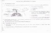 Sistema Respiratório Fisiologia.pdf