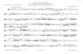 15. concertino_op11._78_-_j._e.pdf