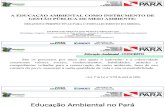A EDUCAÇÃO AMBIENTAL COMO INSTRUMENTO DE GESTÃO PÚBLICA DE MEIO AMBIENTE.pdf
