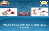 Transplante de Medula Osea (Final)
