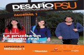 Desafio-PSU2009-04, Usado Miniensayo 1
