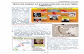 Teorias de la cultura andina.pdf