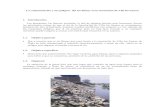 Contaminacion Del Rio Rimac, Frente a La Upeu