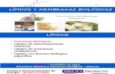 Lípidos y Membranas Biológicas