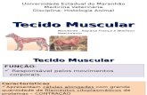 Tecido Muscular -