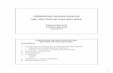 Tema 1c. Principios del Gas Natural - Tecnológicos.pdf