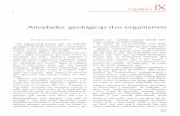 Geologia Geral_Cap09.pdf