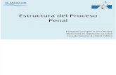 Estructura Del Proceso PenalP